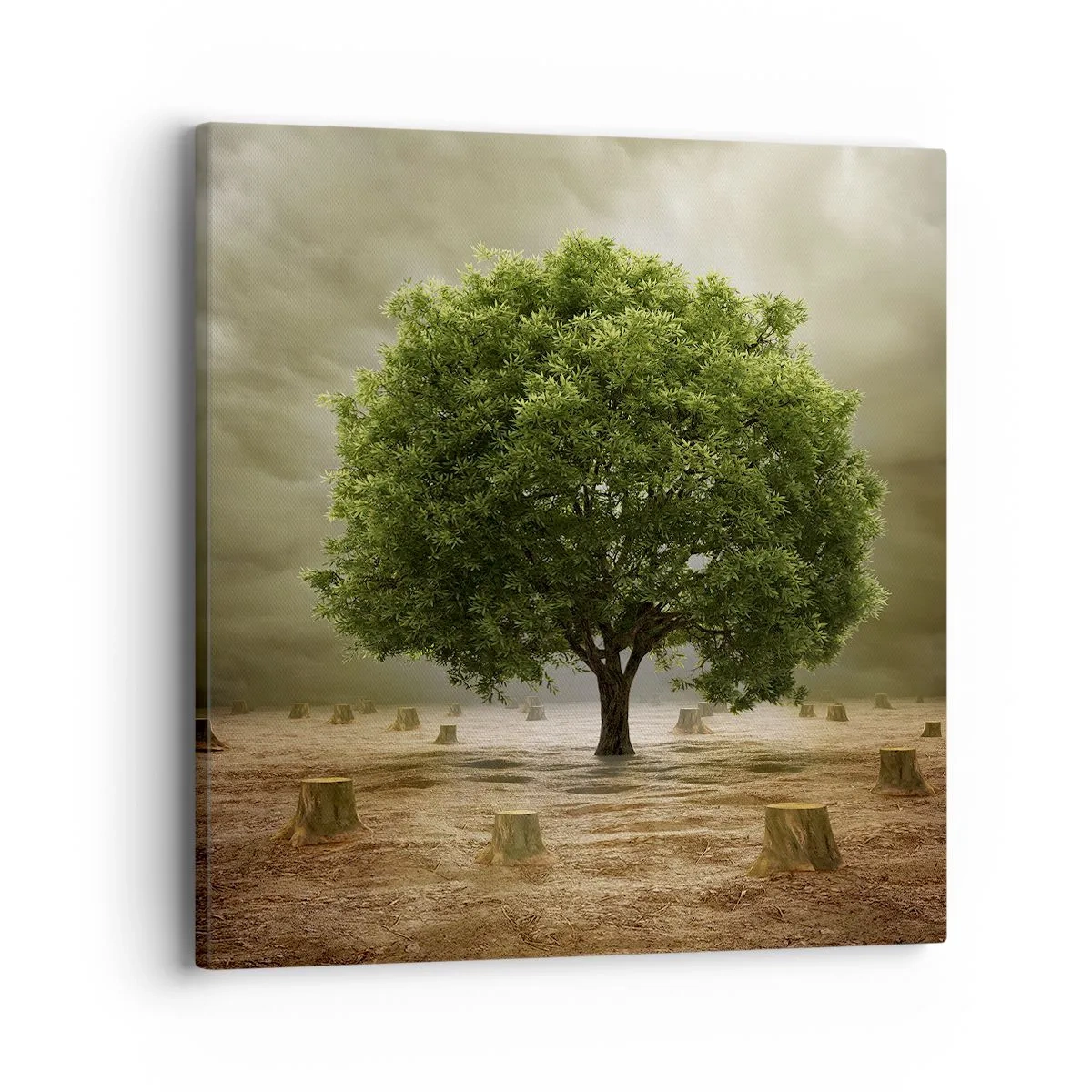 Canvastavla - Bild på duk - Hela hoppet - 40x40 cm