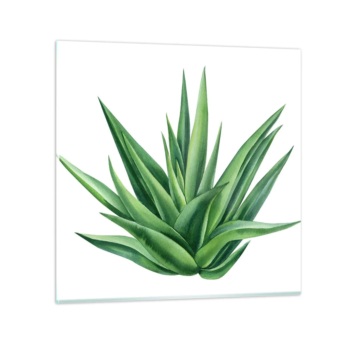 Glastavla - Bild på glas - Grönt - styrka - liv - 70x70 cm