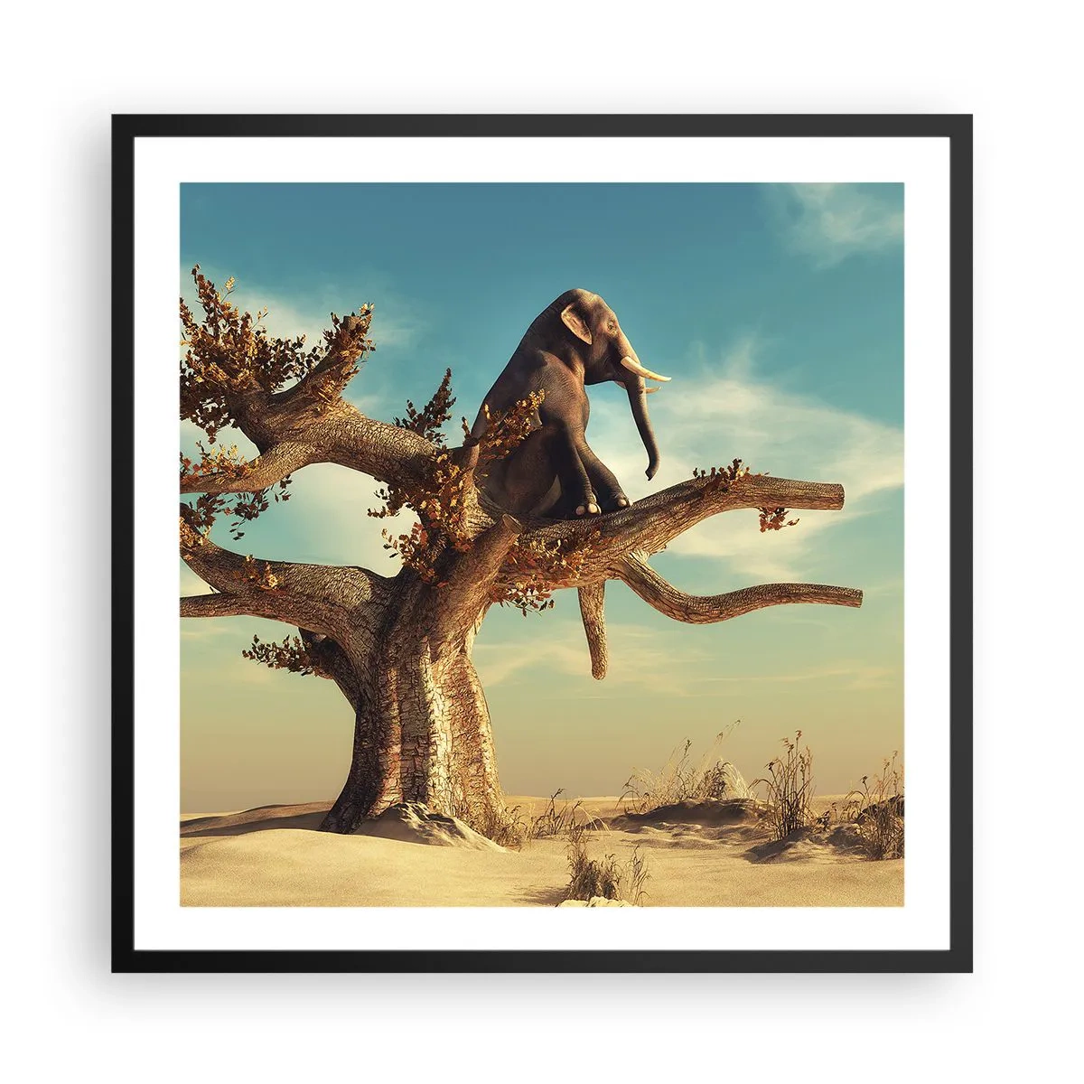 Affisch i svart ram - Ny synvinkel - 60x60 cm