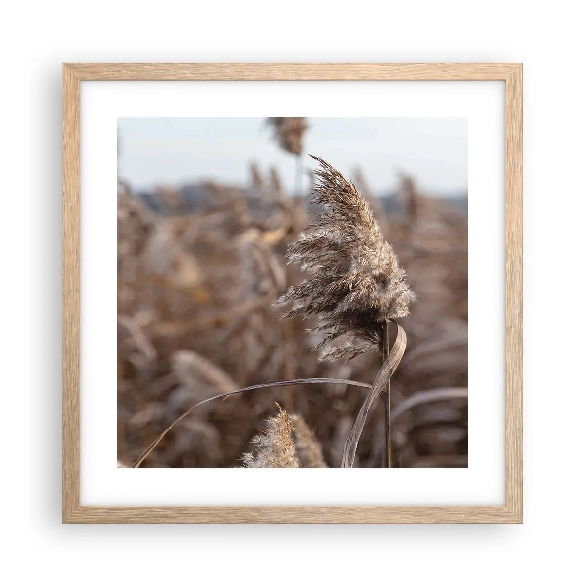 Affisch i ram av ljusek - Dags att flyga bort med vinden - 40x40 cm