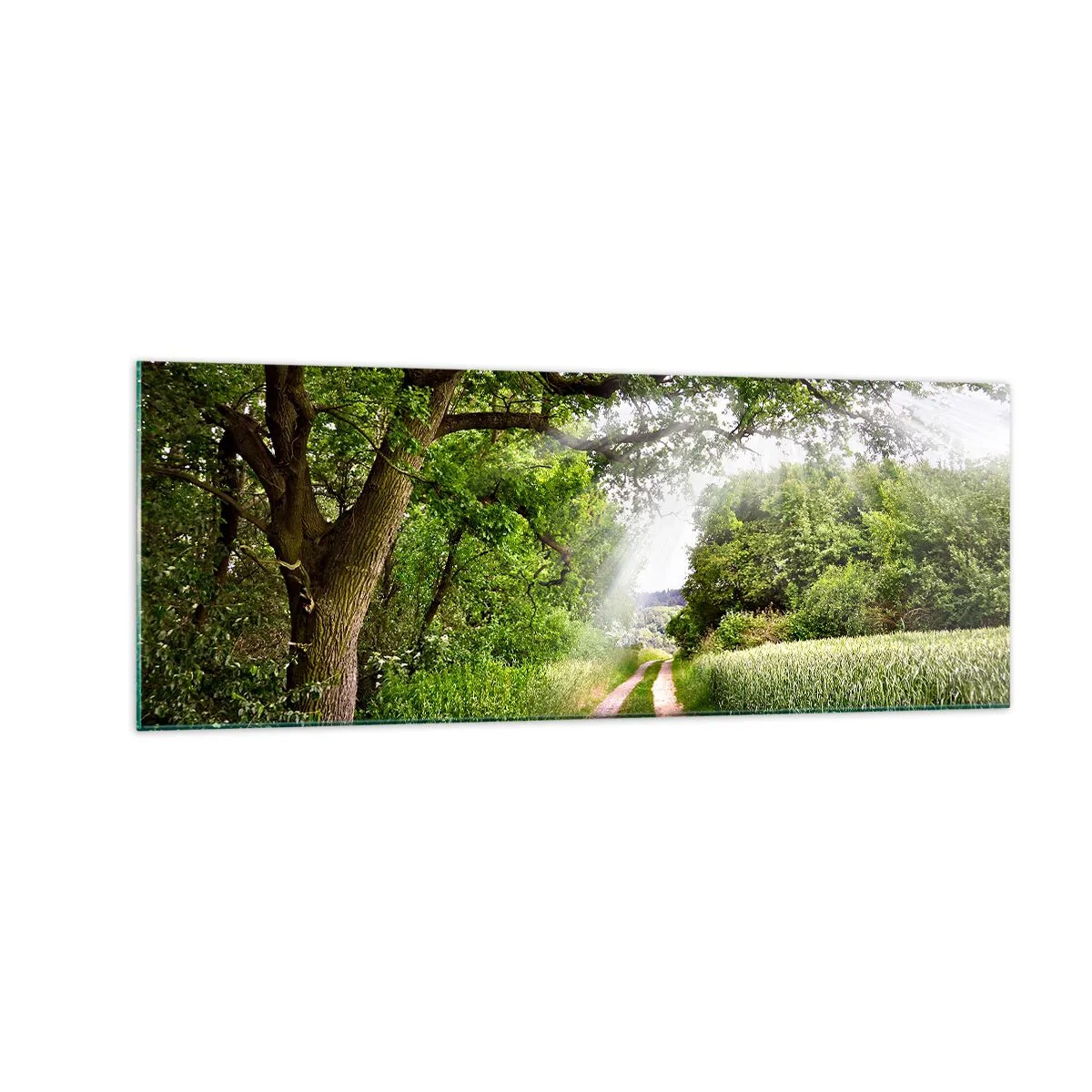 Glastavla - Bild på glas - Et in Arcadia ego - 140x50 cm