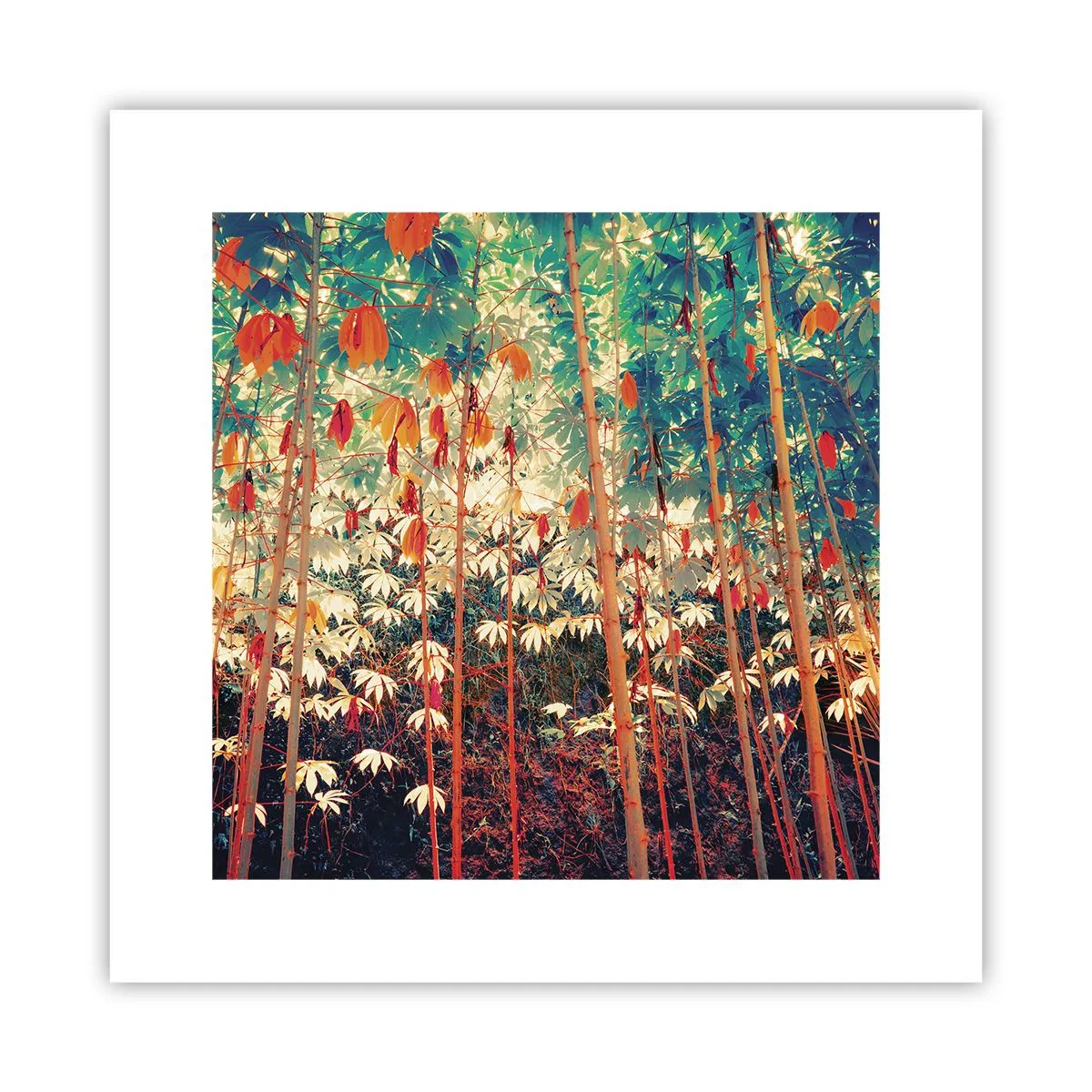 Affisch - Lövbladens hemlighetsfulla liv - 30x30 cm