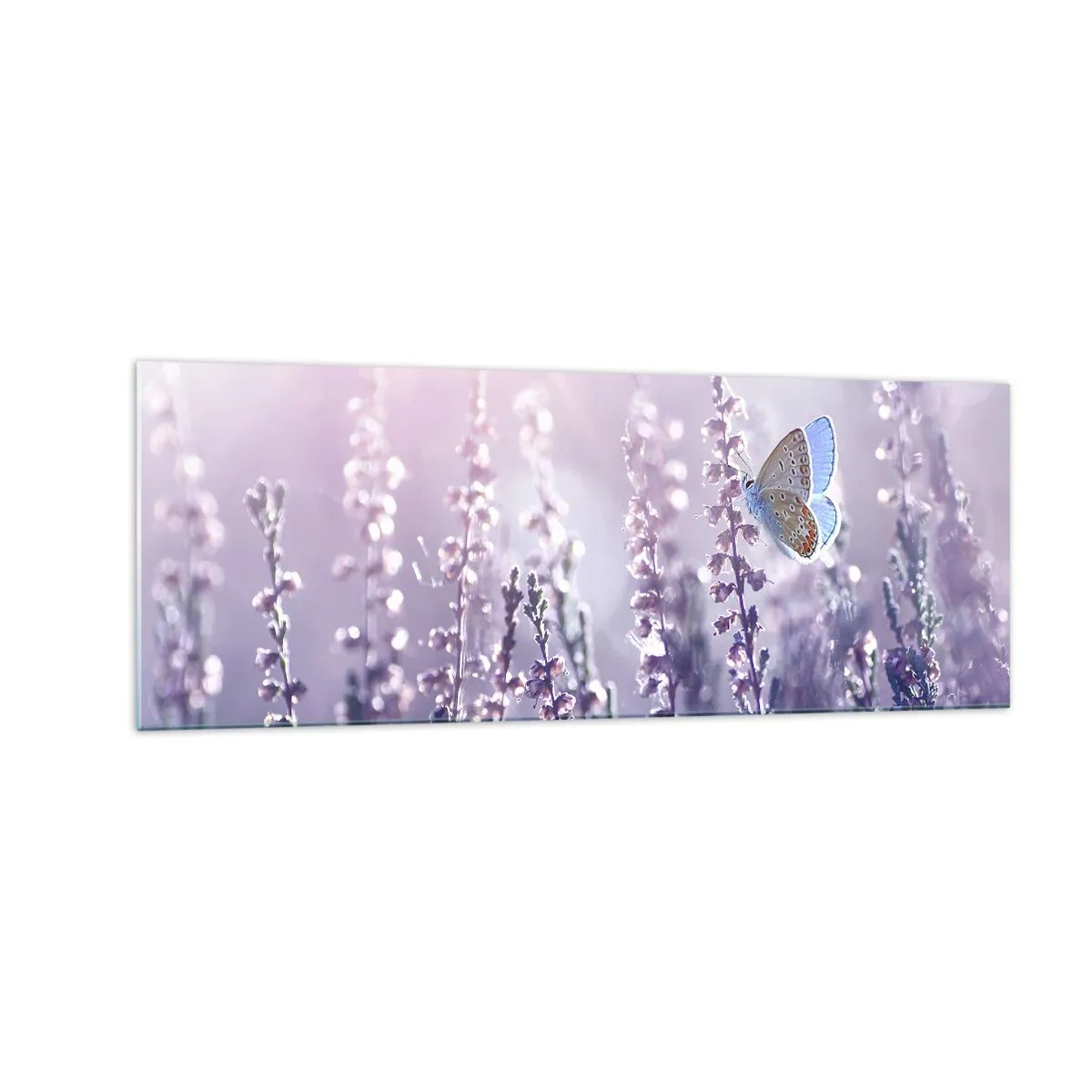 Glastavla - Bild på glas - En fjärils kyss - 140x50 cm