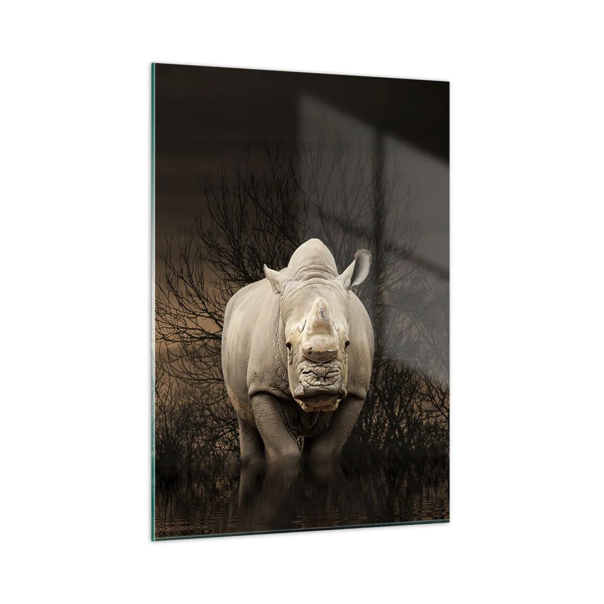 Glastavla - Bild på glas - Vit mot naturen - 50x70 cm