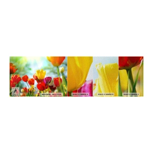 Provbit av fototapet Premium Sand - Solens alla färger - Tulpaner, Blommor, Äng - 100x30 cm