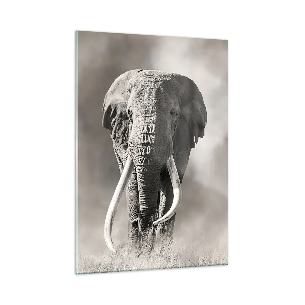 Glastavla - Bild på glas - Afrikansk patriark - 50x70 cm