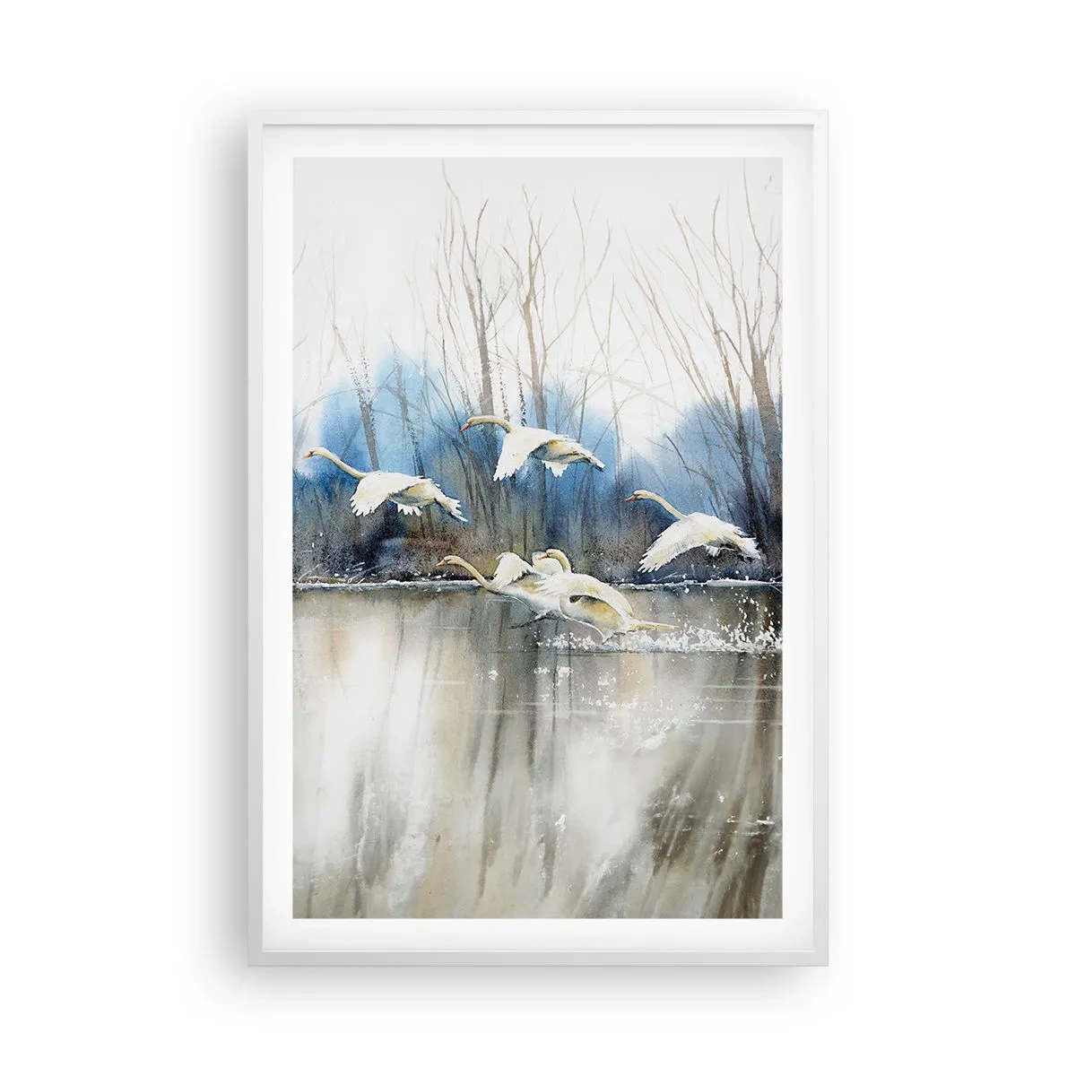 Affisch i vit ram - Som i en saga om vilda svanar - 61x91 cm