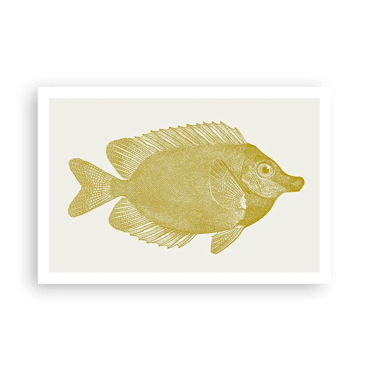 Affisch - Fisk och det är allt - 91x61 cm