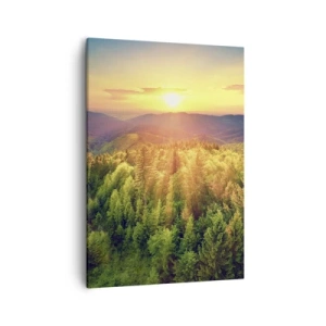 Canvastavla - Bild på duk - Trädtoppar och bergstoppar - 50x70 cm