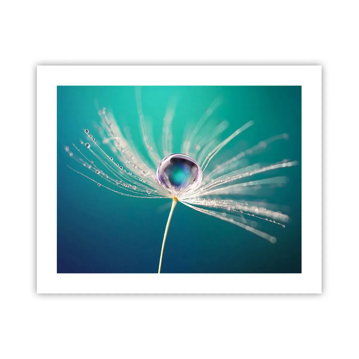 Affisch - Mystisk stund - 50x40 cm