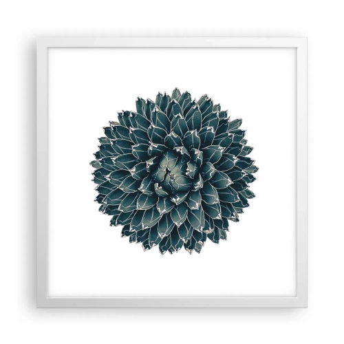 Affisch i vit ram - Öknens stjärna - 40x40 cm