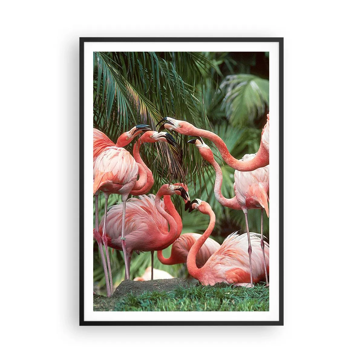 Affisch i svart ram - Eftermiddags skvaller - 70x100 cm