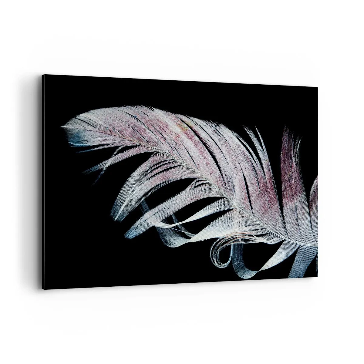 Canvastavla - Bild på duk - Tänk på smekning - 120x80 cm