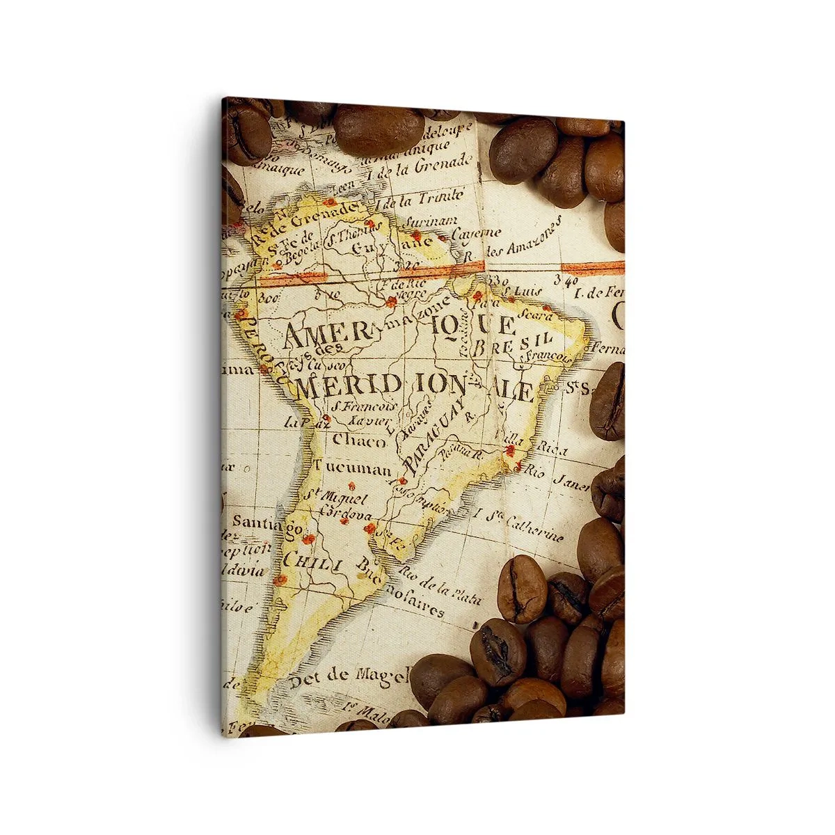 Canvastavla - Bild på duk - Varifrån kommer det bästa kaffet? - 50x70 cm