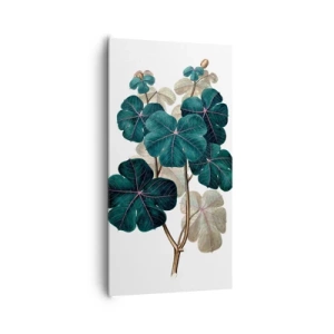 Canvastavla - Bild på duk - Från ett gammalt herbarium - 65x120 cm