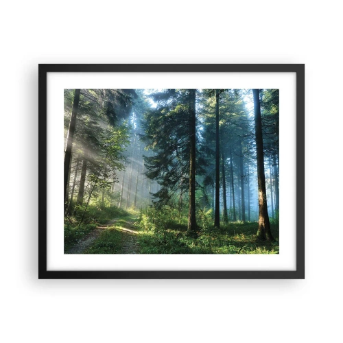 Affisch i svart ram - Strålande på morgonen - 50x40 cm