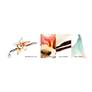 Provbit av självhäftande fototapet Deluxe Sticker - Söt målning - Vaniljblomma, Blomma, Vaniljstång - 100x30 cm