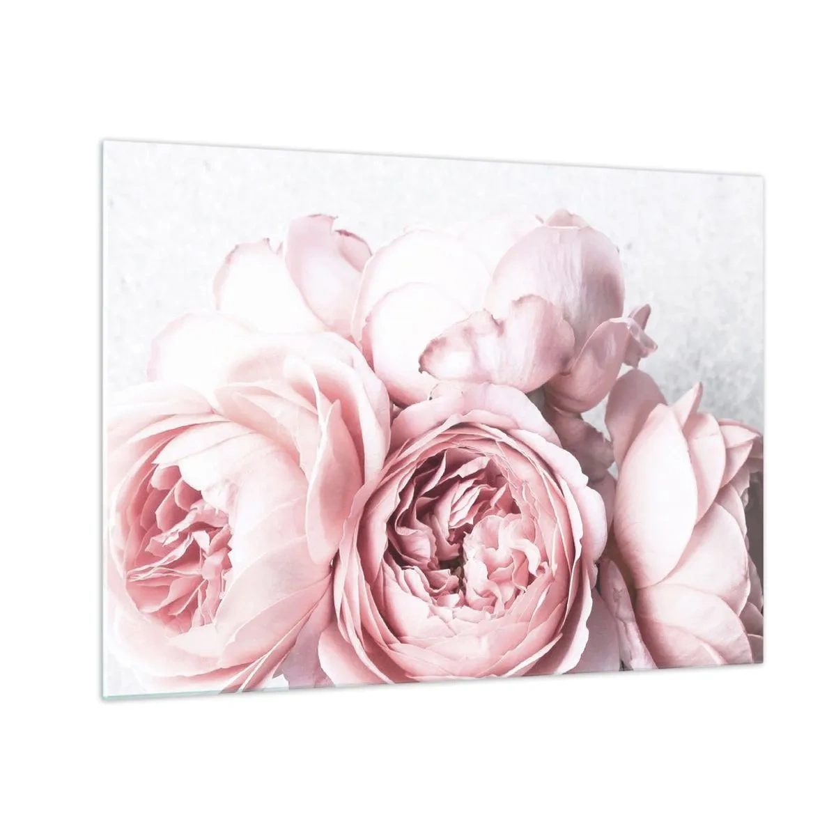 Glastavla - Bild på glas - Närbild av rosa pionblommor i mjukt ljus - 70x50cm - För romantikerna - Modern väggdekoration för vardagsrum och sovrum ARTTOR
