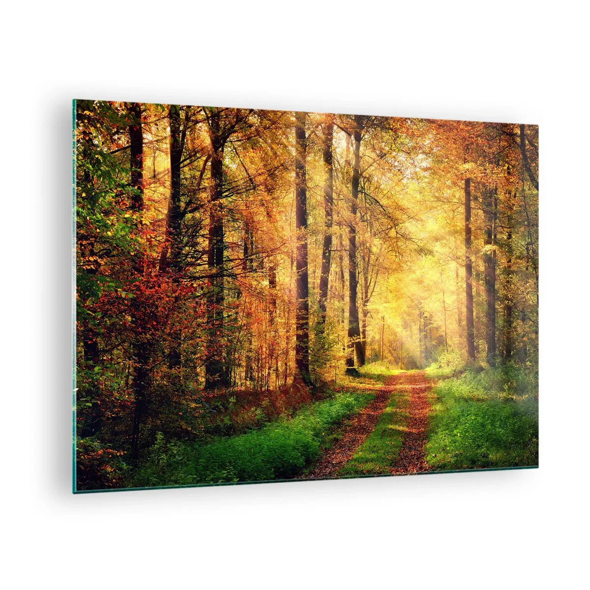 Glastavla - Bild på glas - Höststig i skogen med solstrålar - 70x50cm - Skogsguld tystnad - Modern väggdekoration för vardagsrum och sovrum ARTTOR