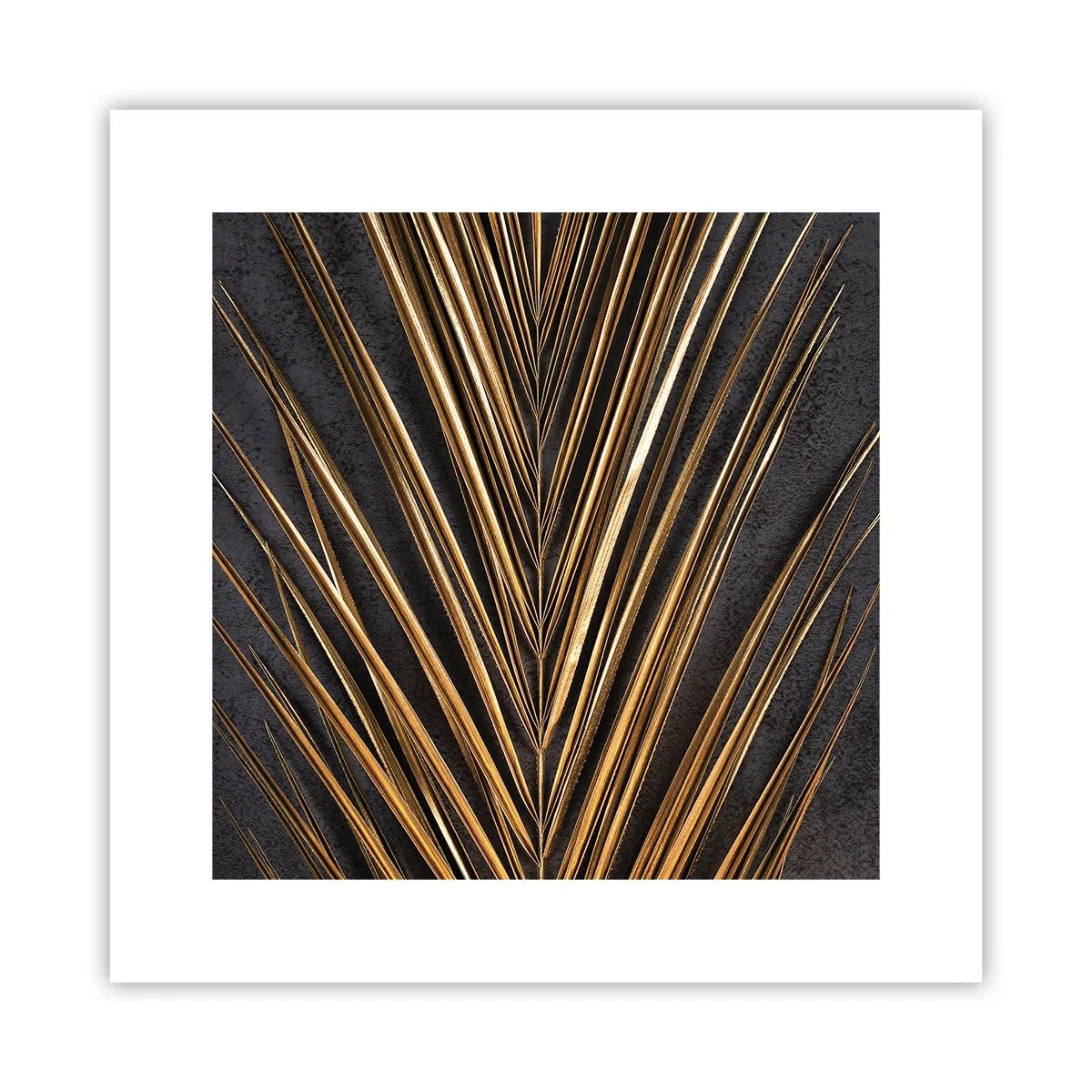 Affisch - Tropikens guld - 30x30 cm