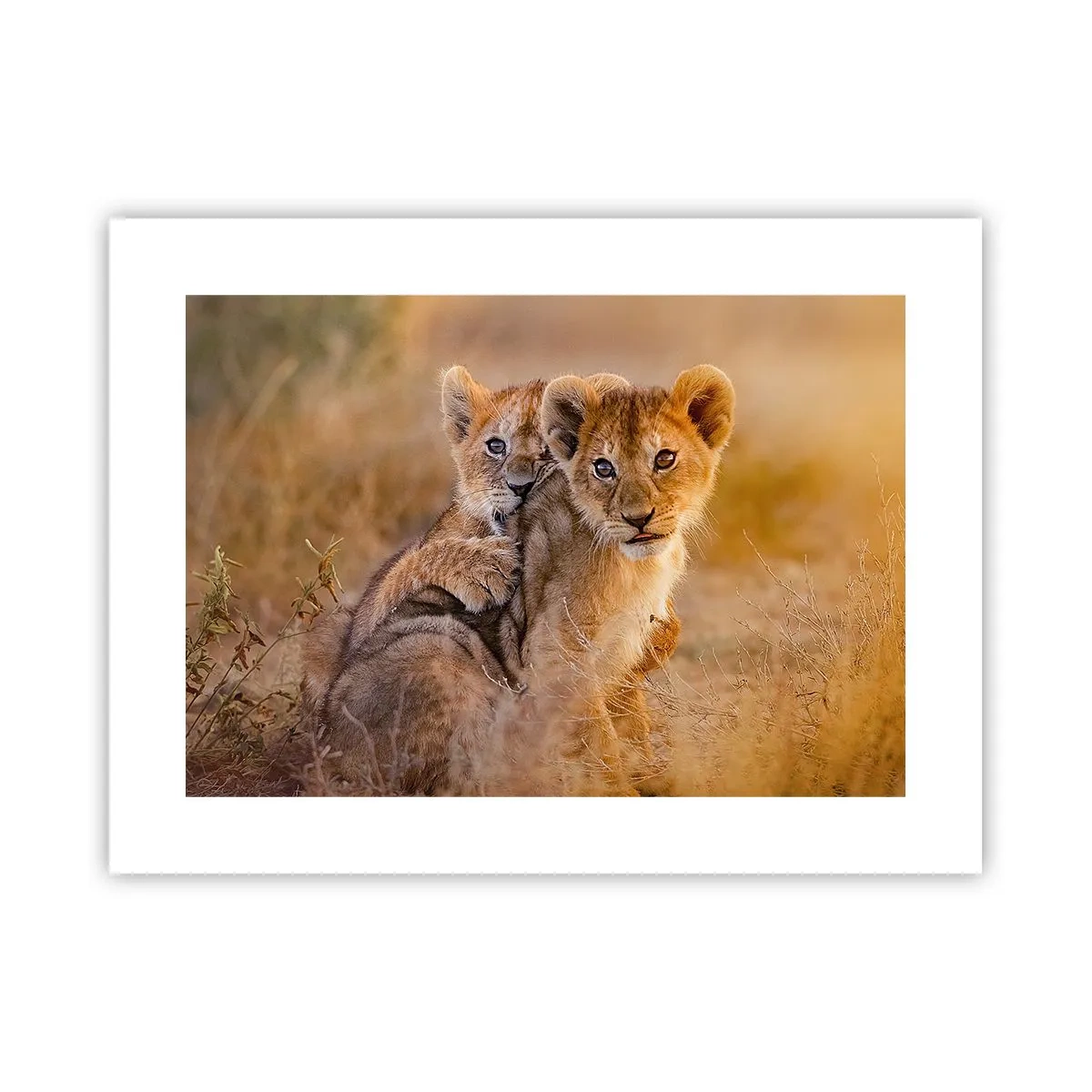 Affisch - Stör inte! Vi har kul - 40x30 cm