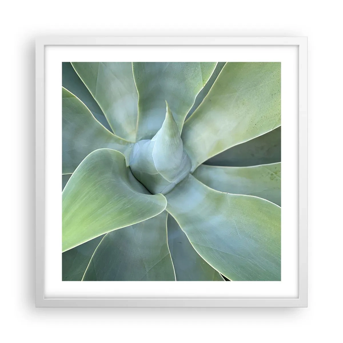 Affisch i vit ram - Det gröna föds - 50x50 cm