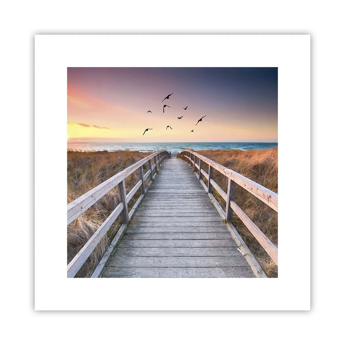 Affisch - Startbana - 30x30 cm