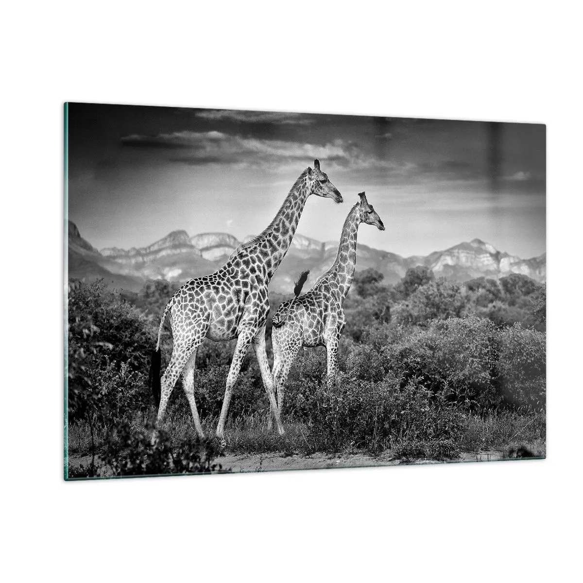 Glastavla - Bild på glas - Högre klasser i Afrika - 120x80 cm