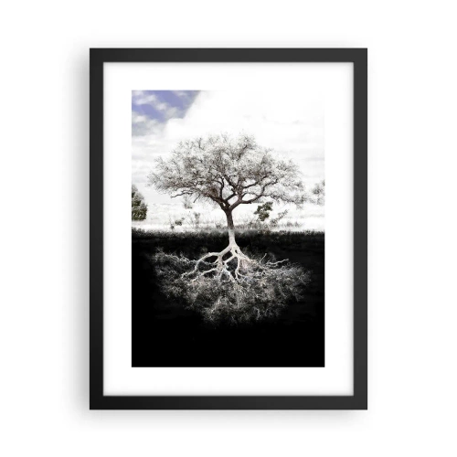 Affisch i svart ram - Upptäckt av världens natur - 30x40 cm