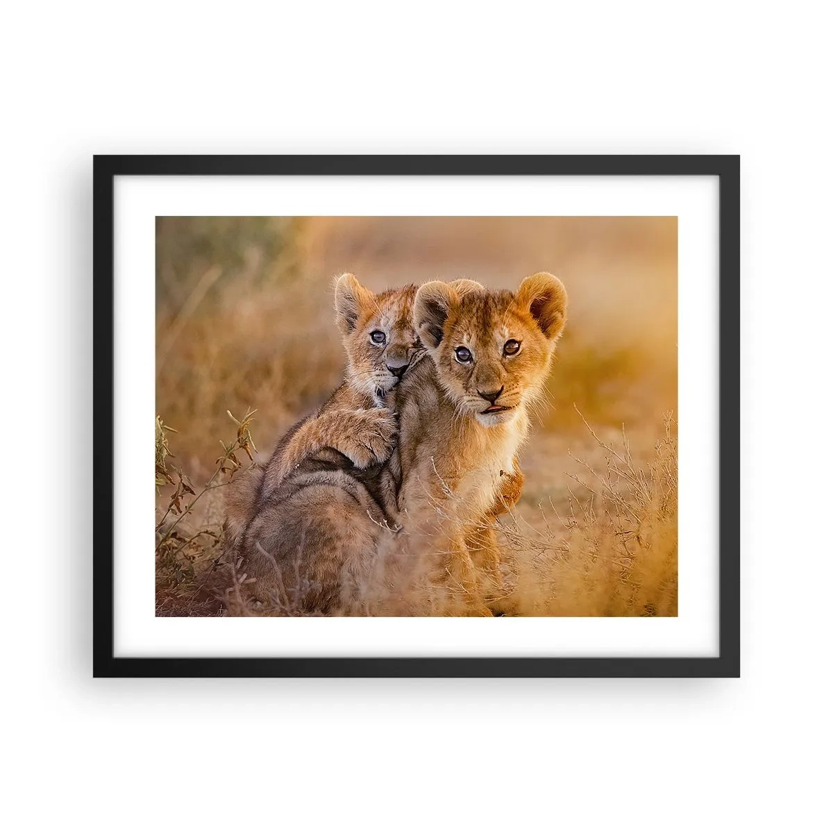 Affisch i svart ram - Stör inte! Vi har kul - 50x40 cm