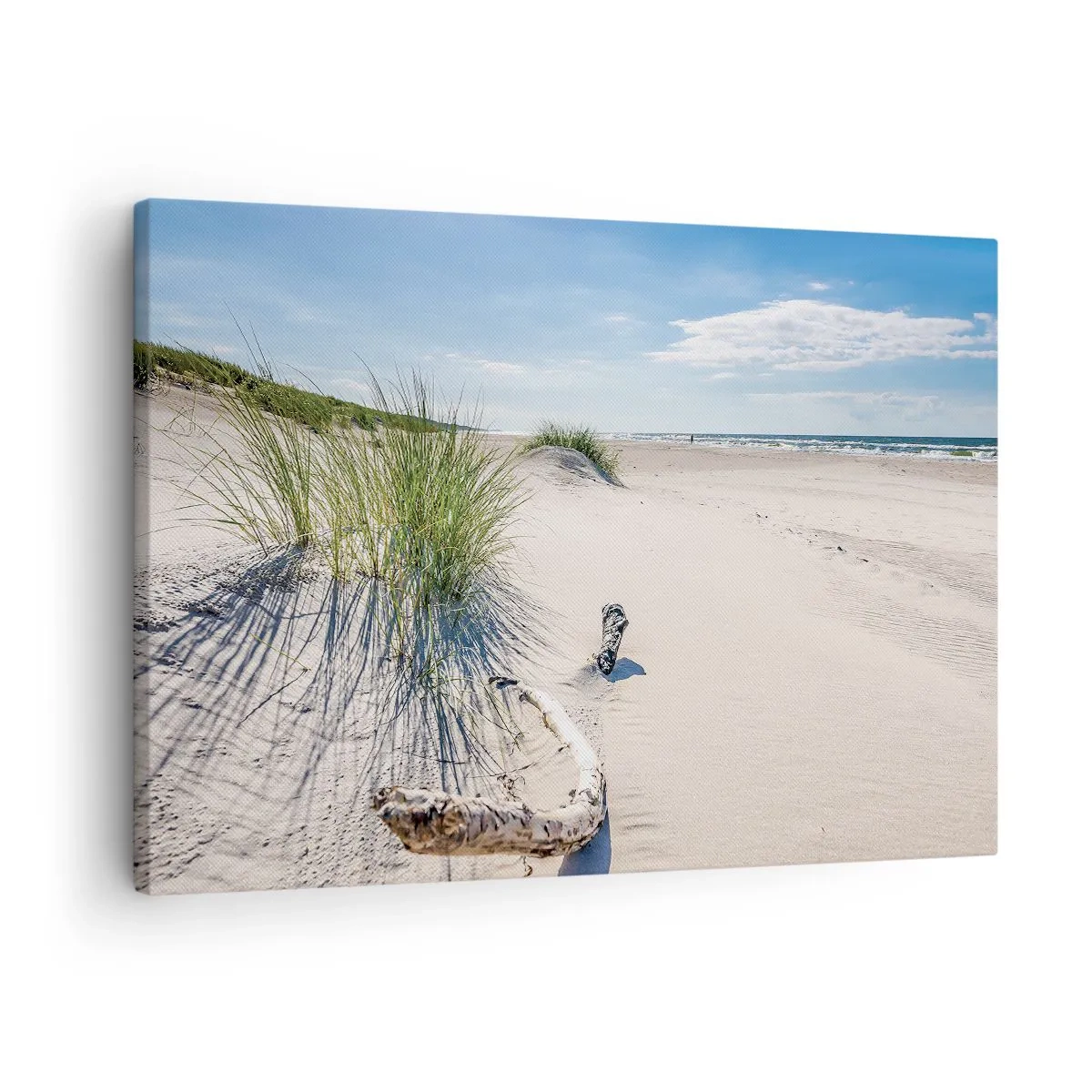 Canvastavla - Bild på duk - En baltisk strand med sand, gräs och en lugn blå himmel - 70x50cm - Vackrast? Östersjöstrand - Modern väggdekoration för vardagsrum och sovrum ARTTOR