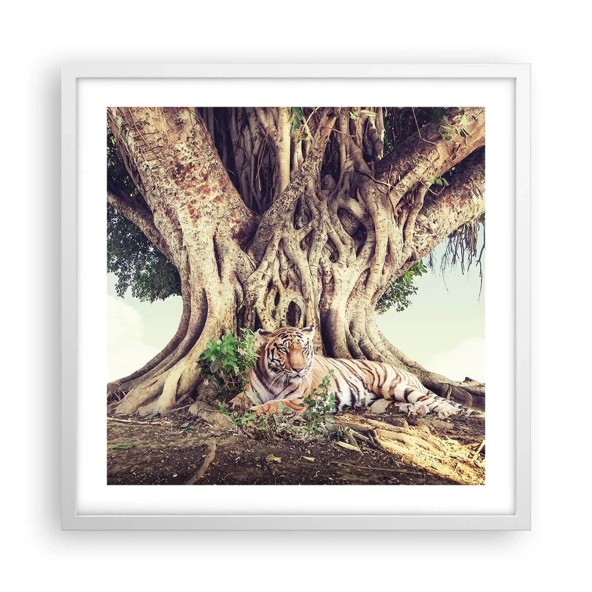 Affisch i vit ram - Vi från Första Moseboken - 50x50 cm