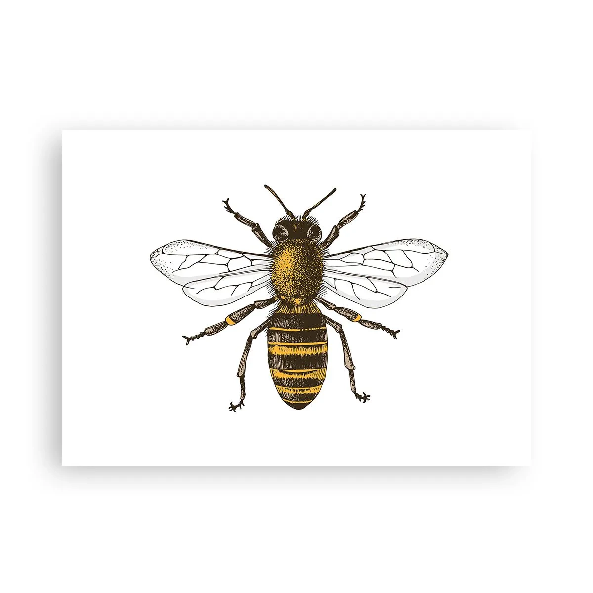 Affisch - Vackert och bra - 70x50 cm