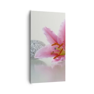 Canvastavla - Bild på duk - En studie i rosa, grå och vit - 65x120 cm