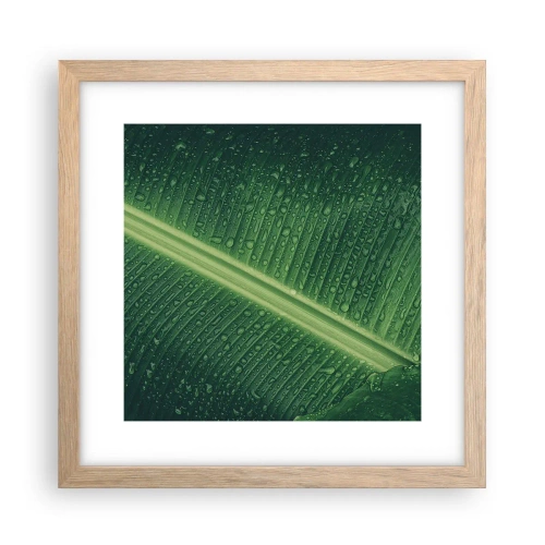 Affisch i ram av ljusek - Grönskans struktur - 30x30 cm