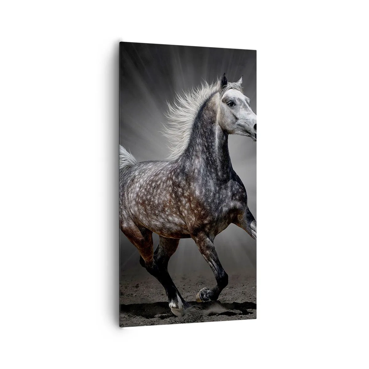 Canvastavla - Bild på duk - Grått är vackert - 65x120 cm