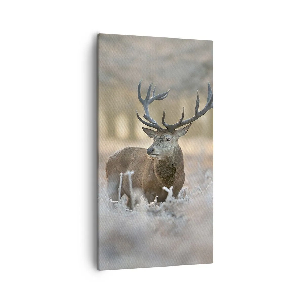 Canvastavla - Bild på duk - Uppfriskande morgon - 55x100 cm