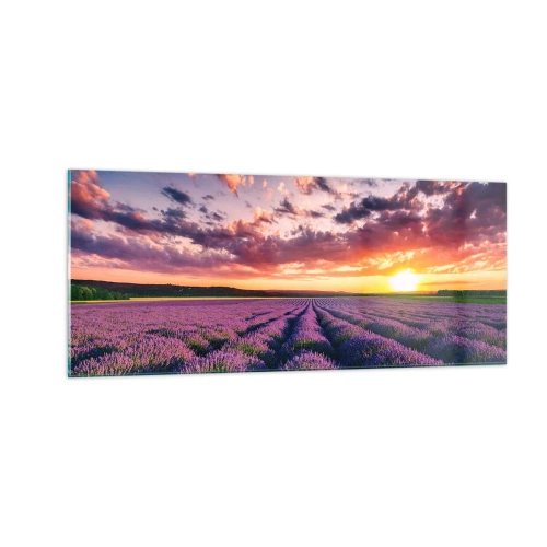 Glastavla - Bild på glas - Lavandelvärld - 100x40 cm