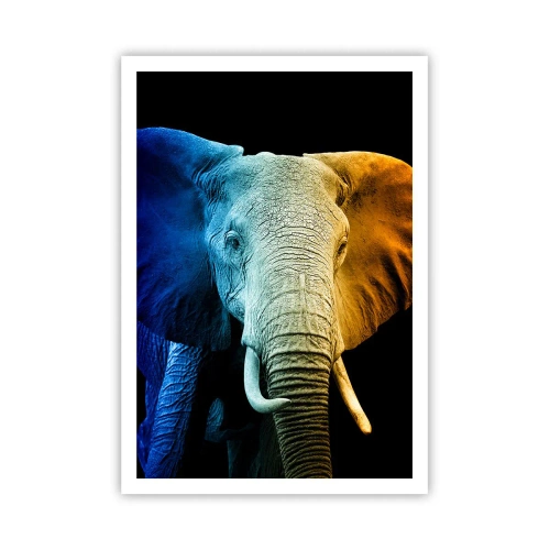 Affisch - Excentriker, ej kuf - 70x100 cm