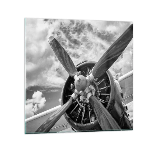 Glastavla - Bild på glas - Luftrummets härskare - 70x70 cm