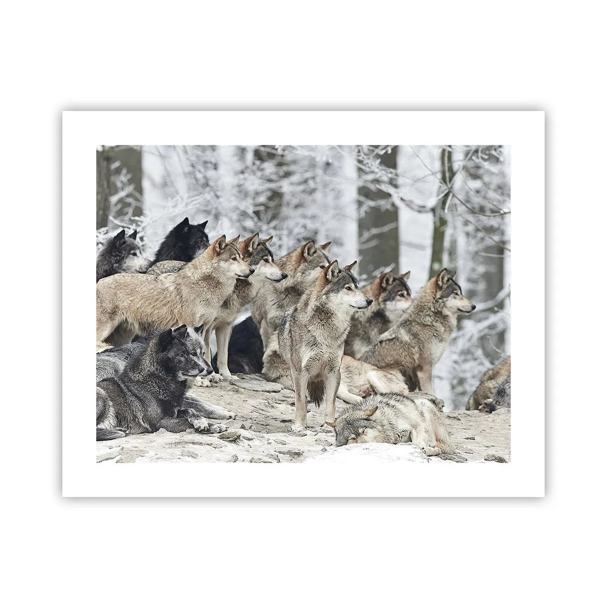 Affisch - Familj och vänner - 50x40 cm