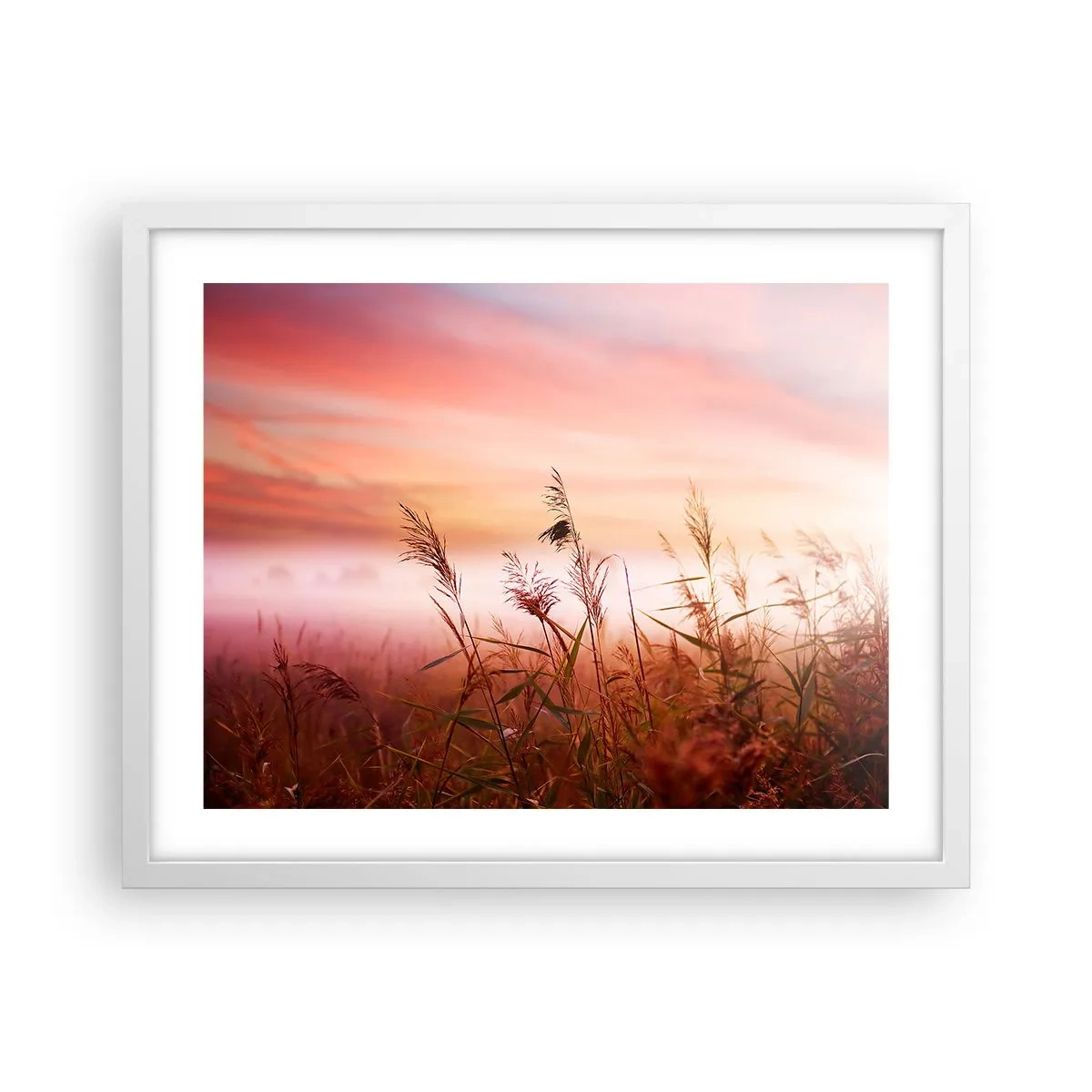 Affisch i vit ram - Drakar, maskrosor, vind - 50x40 cm