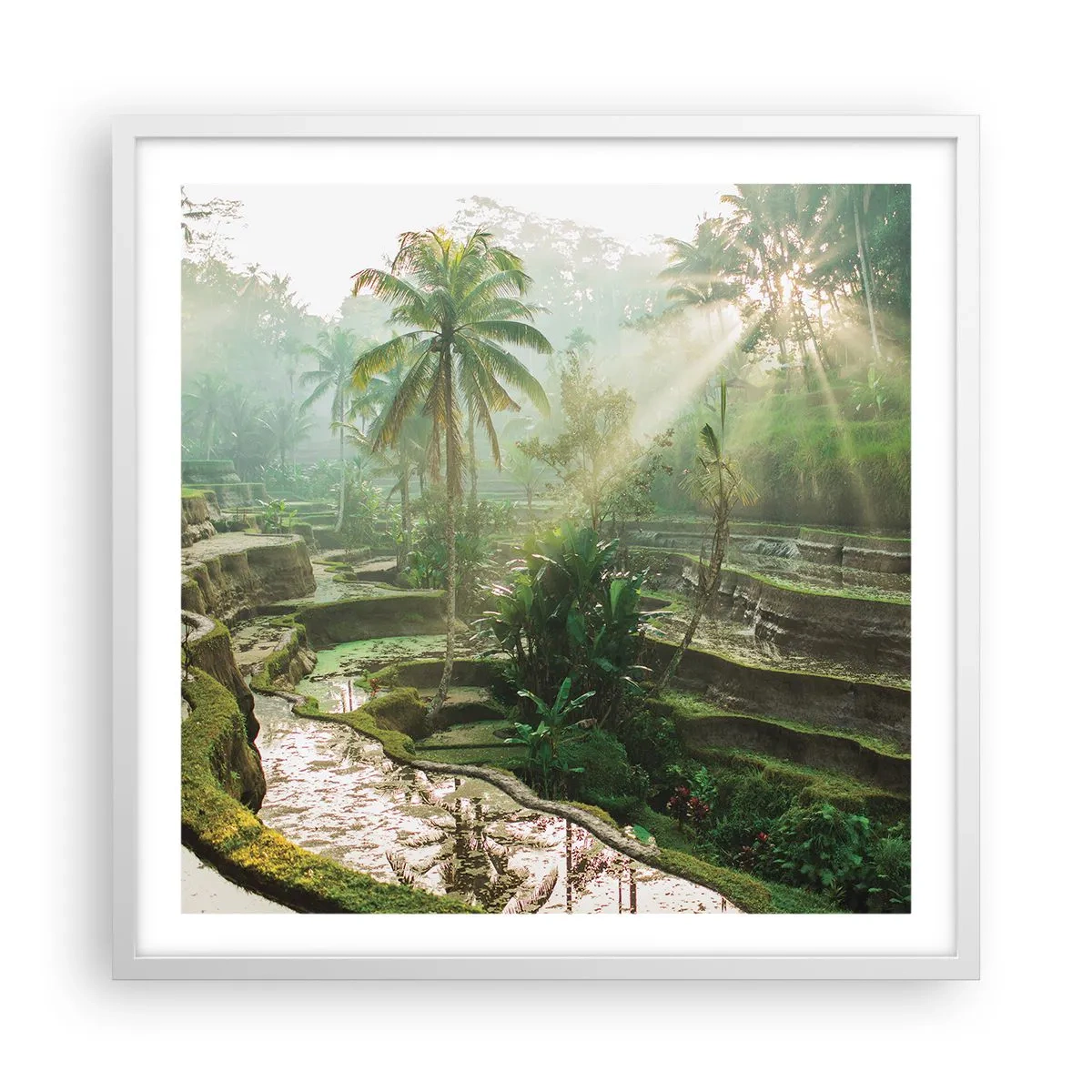 Affisch i vit ram - Växa upp i solsken - 60x60 cm