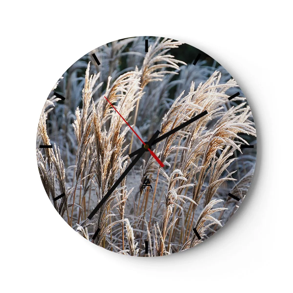 Väggklocka - Klocka på glas - Gyllene gräs täckta med frost i ett vinterlandskap - 30x30cm - Frostprydda - Modern väggdekoration för vardagsrum, kök och sovrum ARTTOR
