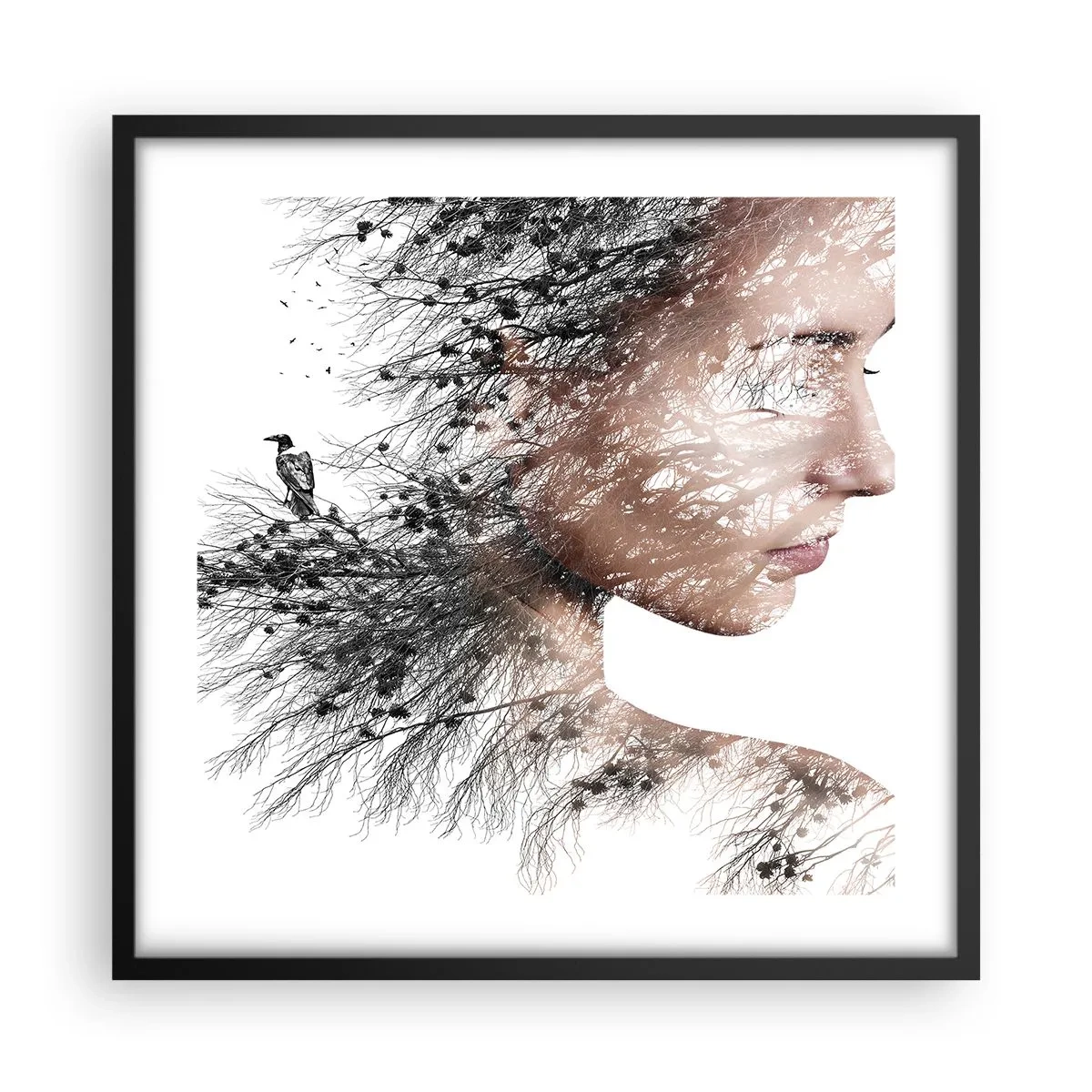 Affisch i svart ram - Skogens ande - 50x50 cm