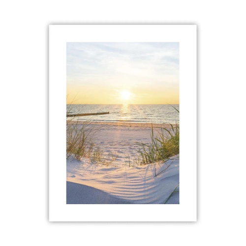 Affisch - Havets brus, fågelsång, tom strand bland träden - 30x40 cm