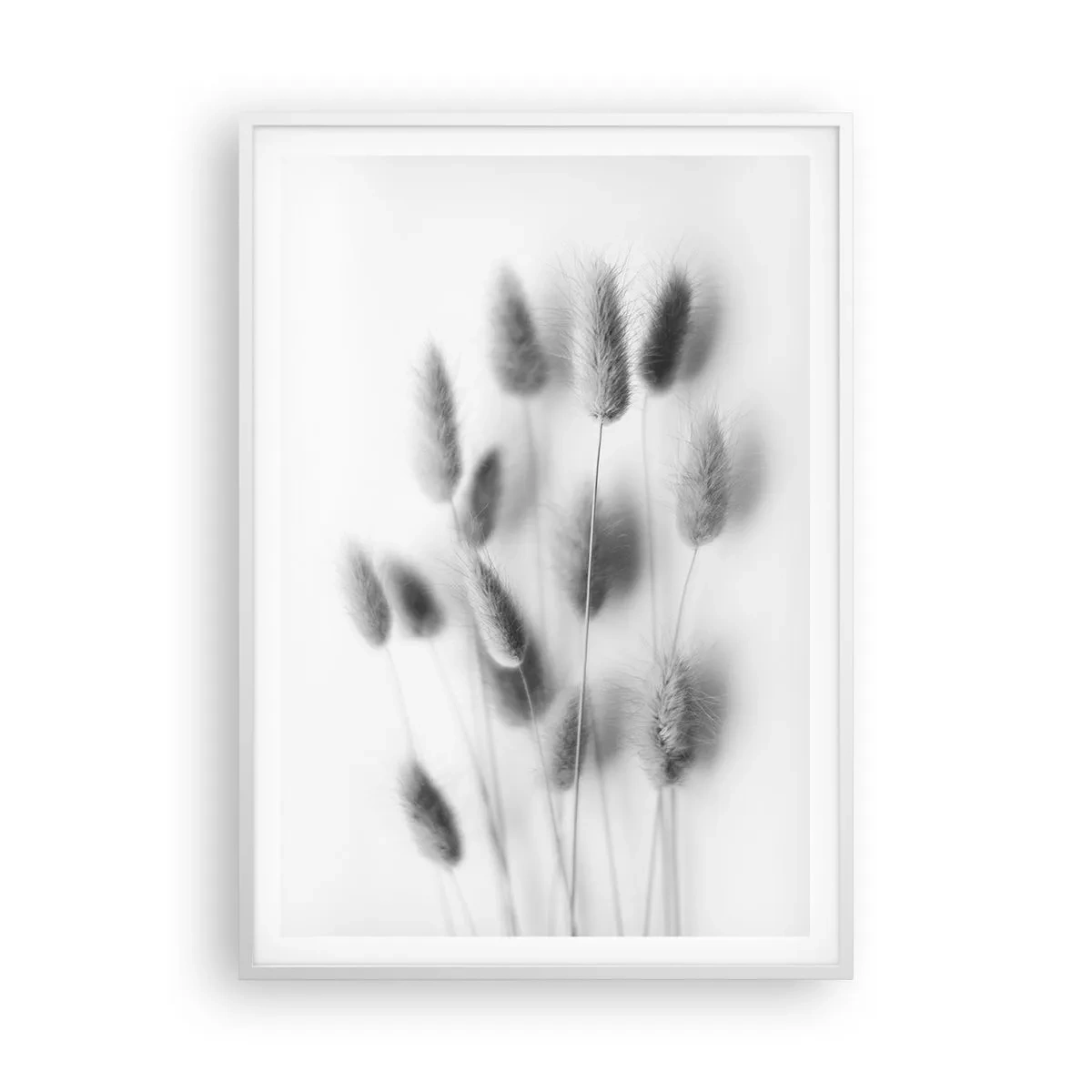 Affisch i vit ram - Fluffigt gräs - 70x100 cm