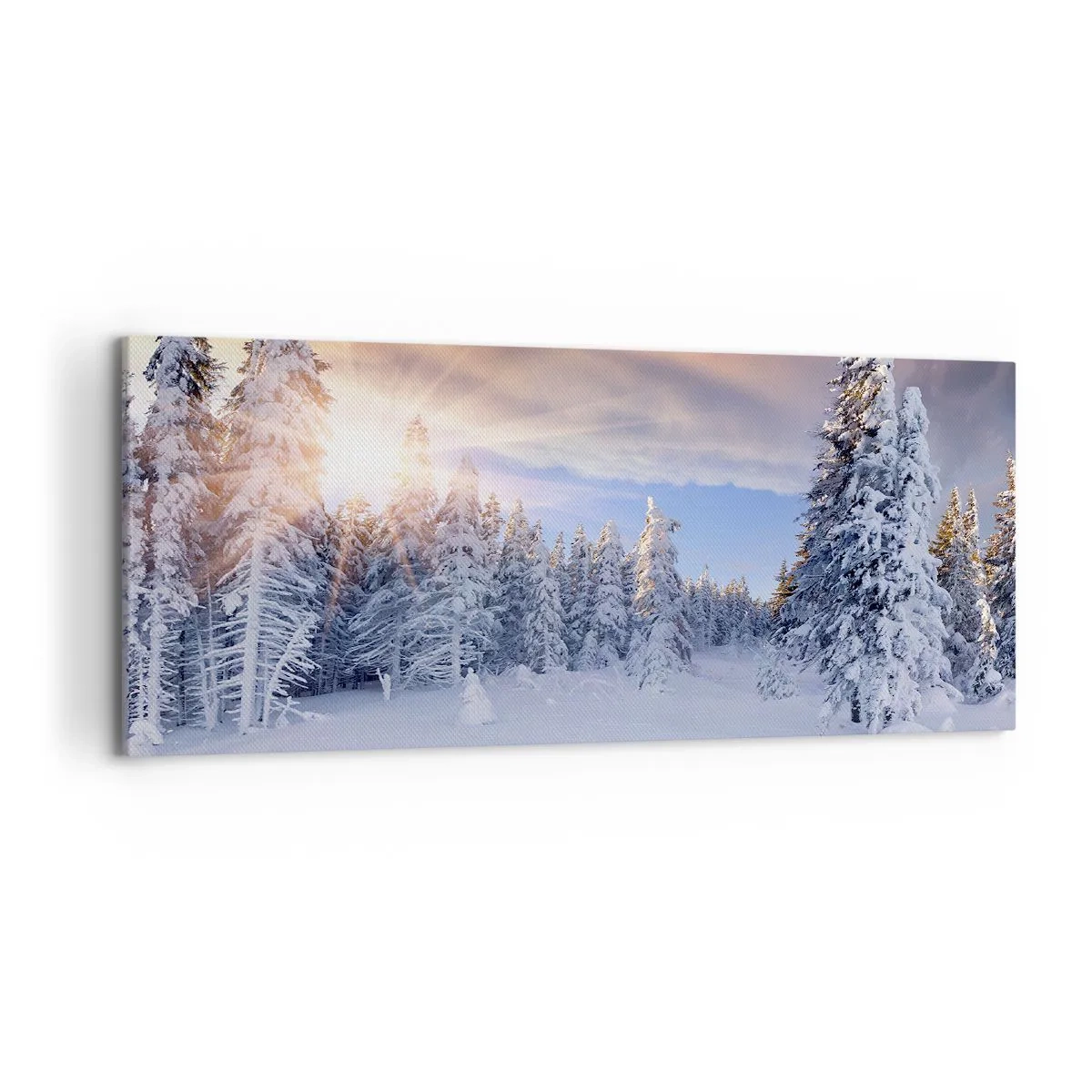 Canvastavla - Bild på duk - Naturens snöiga spel - 120x50 cm