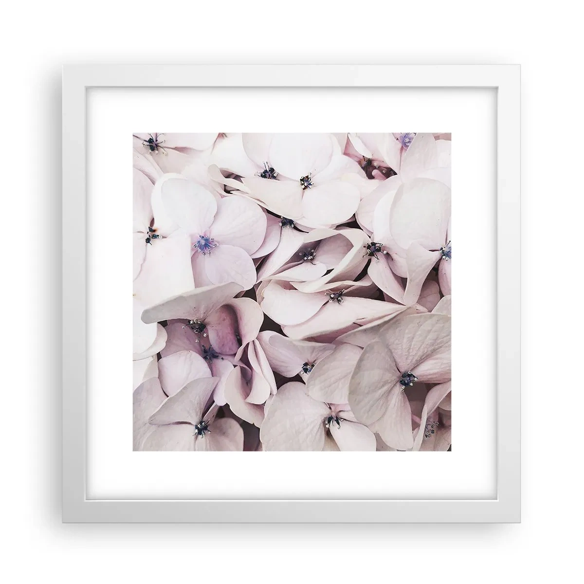 Affisch i vit ram - I en flod av blommor - 30x30 cm