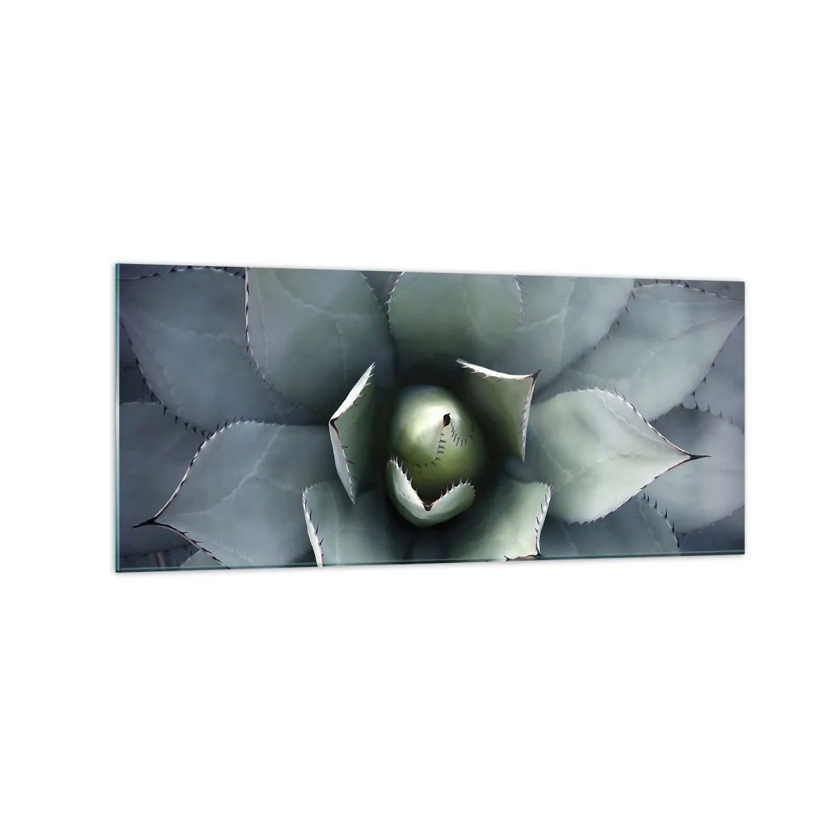 Glastavla - Bild på glas - Lockar och varnar - 120x50 cm